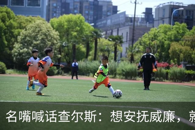 名嘴喊话查尔斯：想安抚威廉，就该剥夺哈里梅根头衔