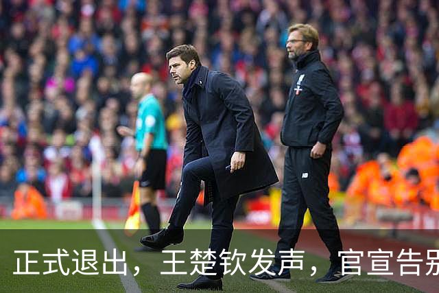 正式退出，王楚钦发声，官宣告别，表态找不到享受打球感觉